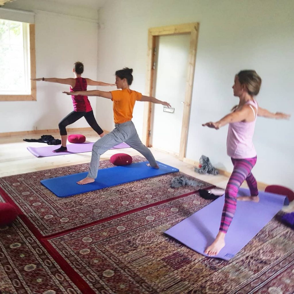 Rawfood yoga detox retreat