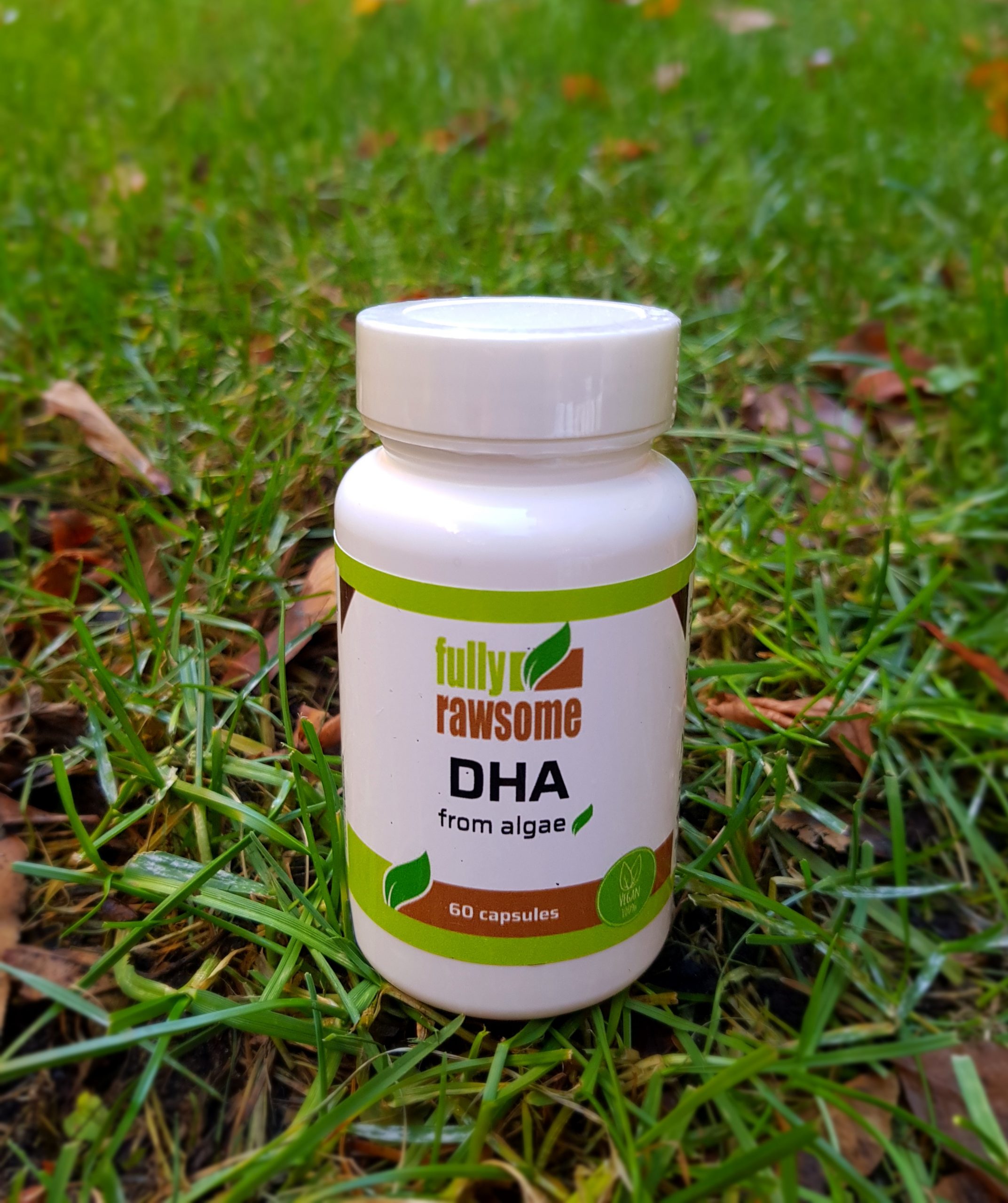 DHA Algae oil - Blisscafe
