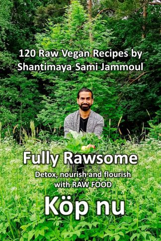 Fully Rawsome kokbok